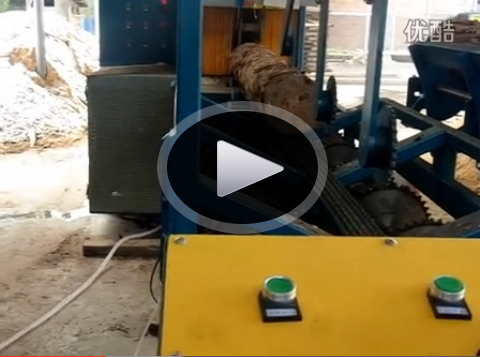 原木多片鋸400型自動翻料進料&nbsp;湖南邵陽加工現(xiàn)場