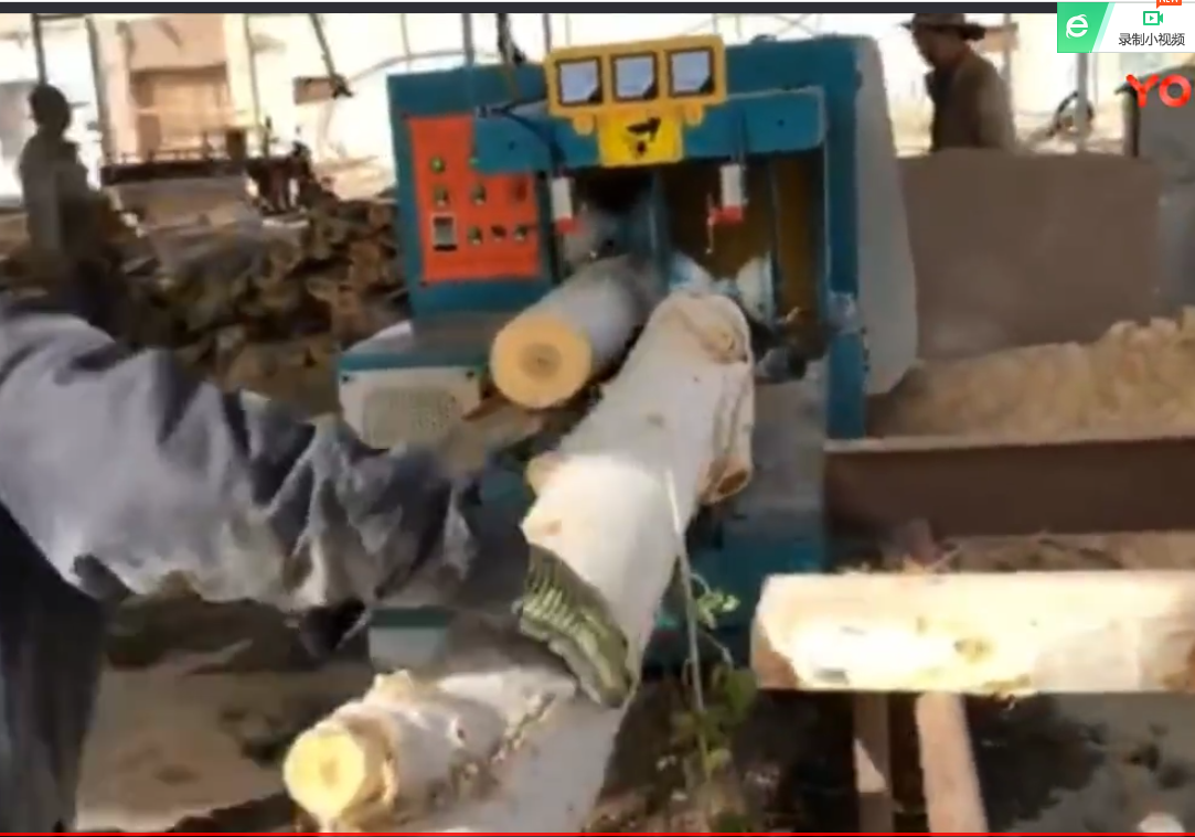 ZQ250型雙排鏈原木多片鋸