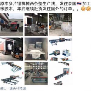 發往泰國客戶的400機型-250型原木多片鋸生產線專柜