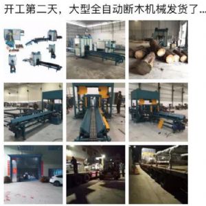 2017年發貨國內250型原木斷木機生產線&nbsp;圓木截木機，鋸木機生