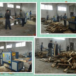 廣西-200原木多片鋸-圓木150高多片鋸加工現場