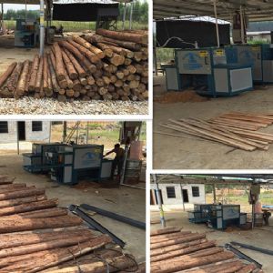 廣西南寧250型原木多片鋸客戶現(xiàn)場