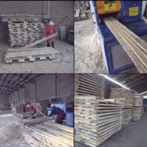 河北省-廊坊-圓木-方木多片鋸-加工現場