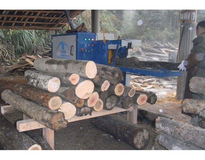 湖南省-韶陽市-圓木多片鋸250機(jī)型加工現(xiàn)場(chǎng)