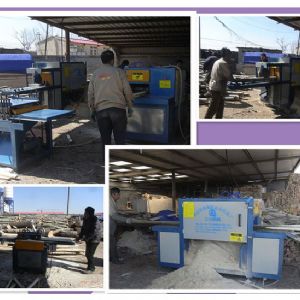 秦皇島-250原木多片鋸-方木150高多片鋸加工現(xiàn)場1